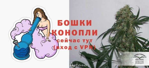 гидра Лиски