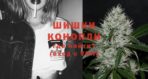 амф Липки