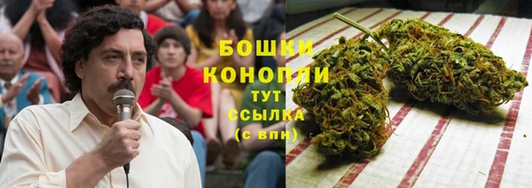 spice Армянск