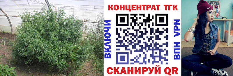 что такое   Шуя  Дистиллят ТГК жижа 